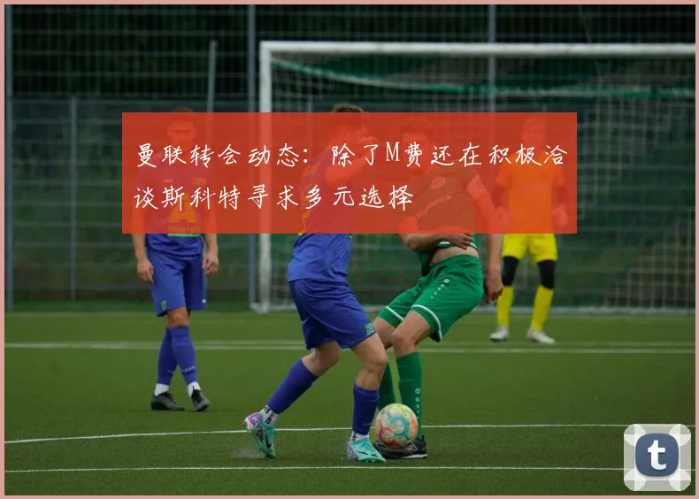 曼联转会动态：除了M费还在积极洽谈斯科特寻求多元选择